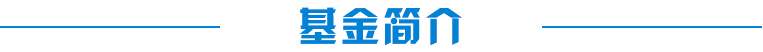 基金简介