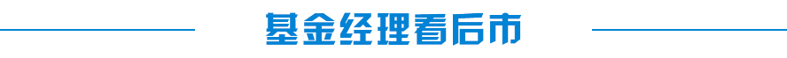 基金经理看后市